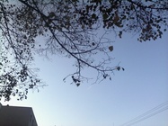 Alcatel OneTouch Pop 7S