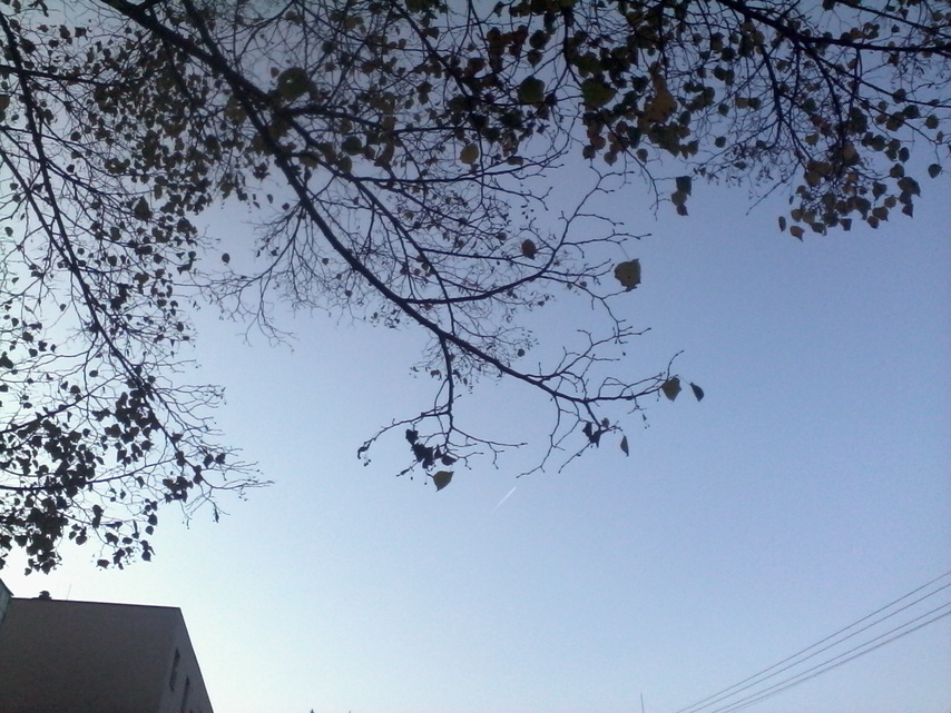 Alcatel OneTouch Pop 7S