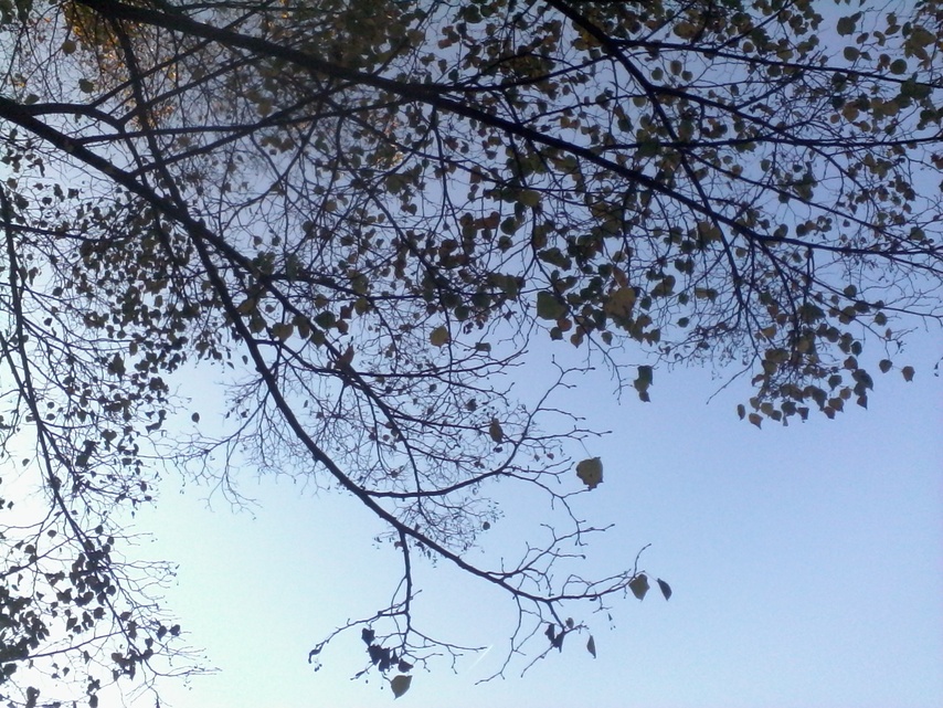 Alcatel OneTouch Pop 7S