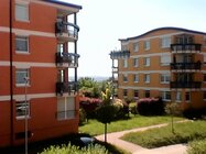 Alcatel OneTouch Pop C1