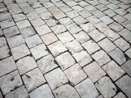 Aligator RX700 eXtremo