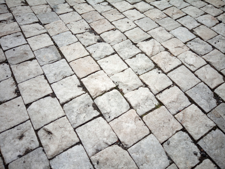 Aligator RX700 eXtremo