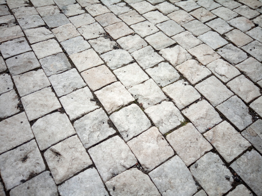 Aligator RX700 eXtremo