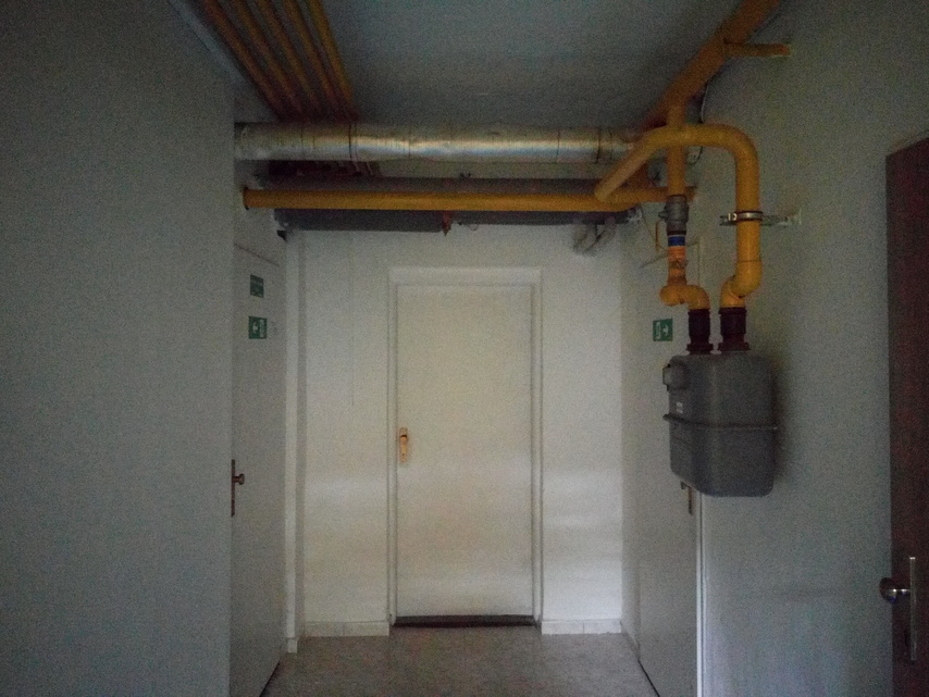 Aligator RX700 eXtremo