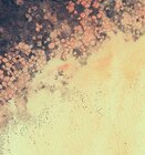 Android 5.0 – tapety