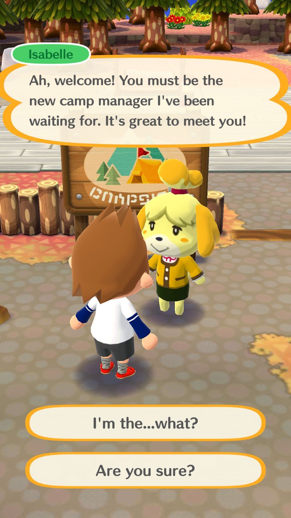 Animal Crossing: Pocket Camp