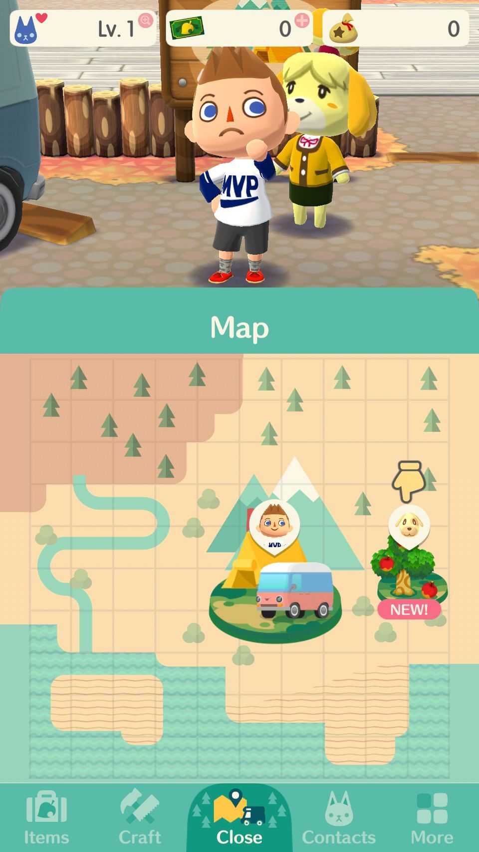 Animal Crossing: Pocket Camp
