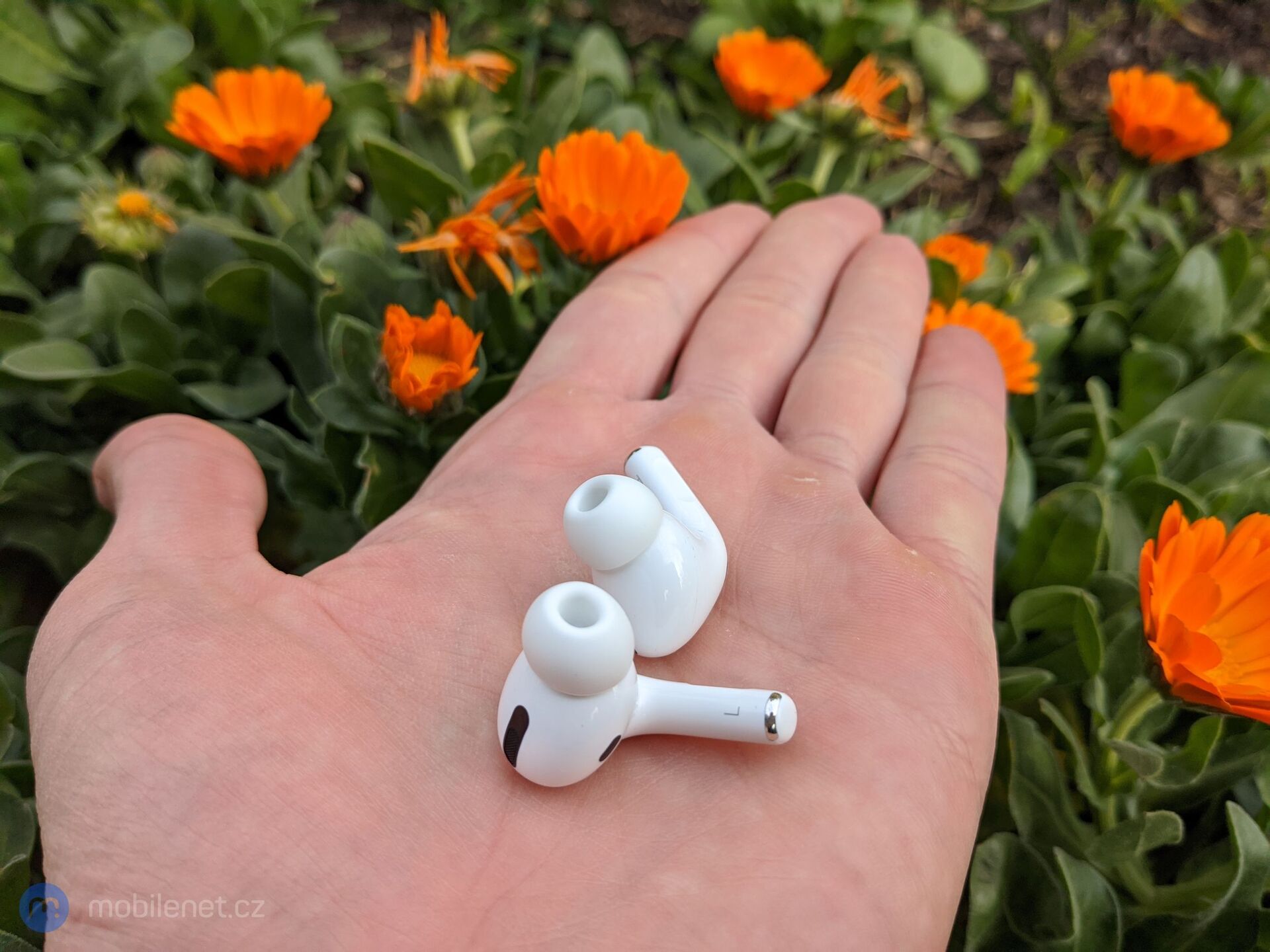 Apple AirPods Pro