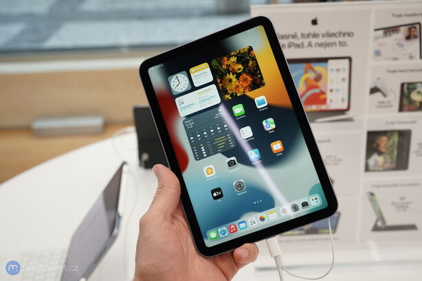 Apple iPad mini (2021)