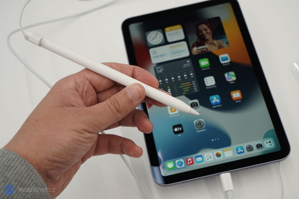 Apple iPad mini (2021)