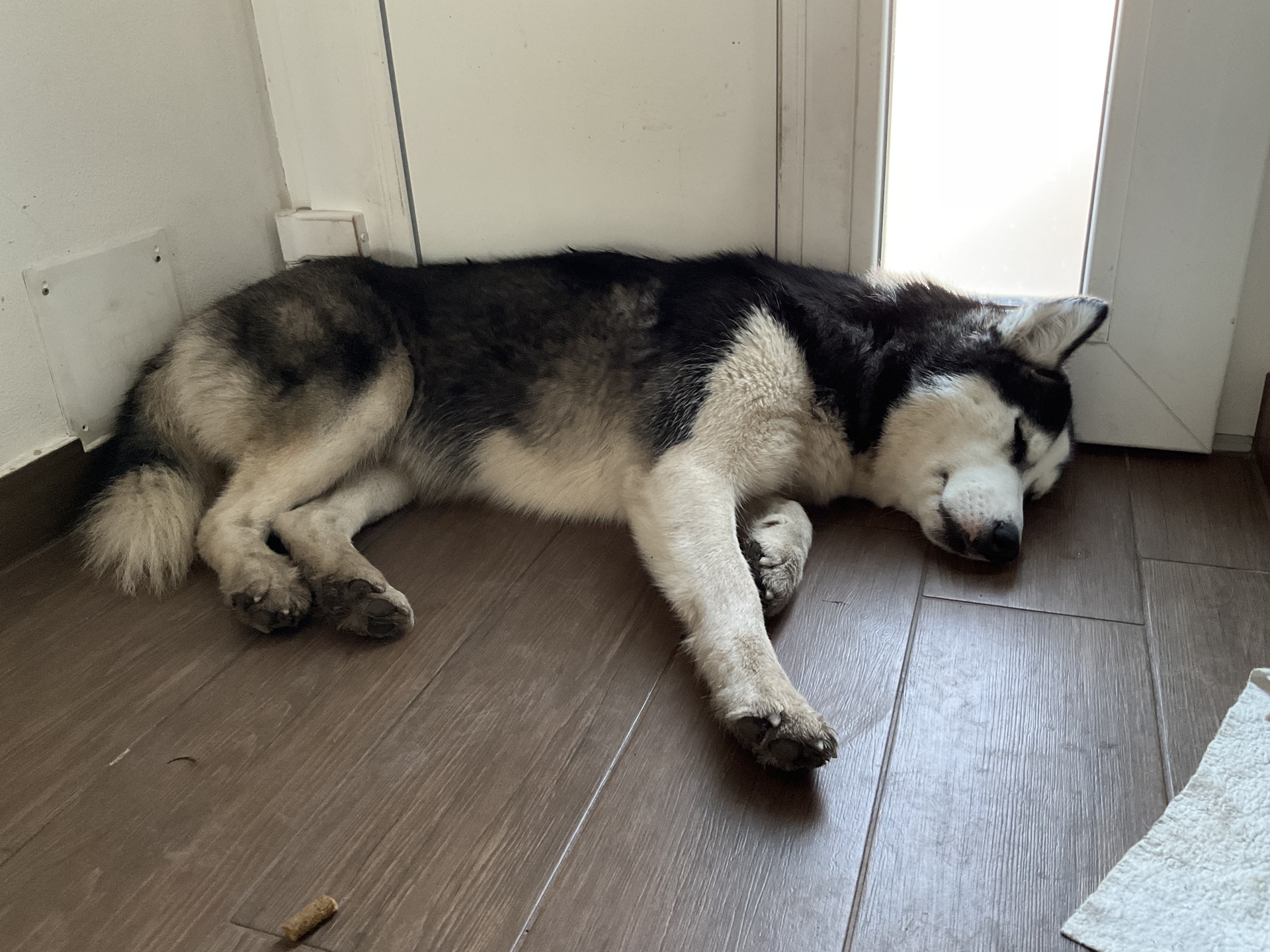 Apple iPad mini (2021)