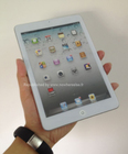 Apple iPad mini
