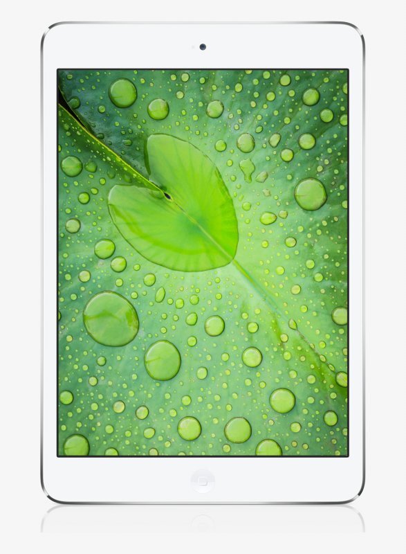 Apple iPad mini s Retina displejem