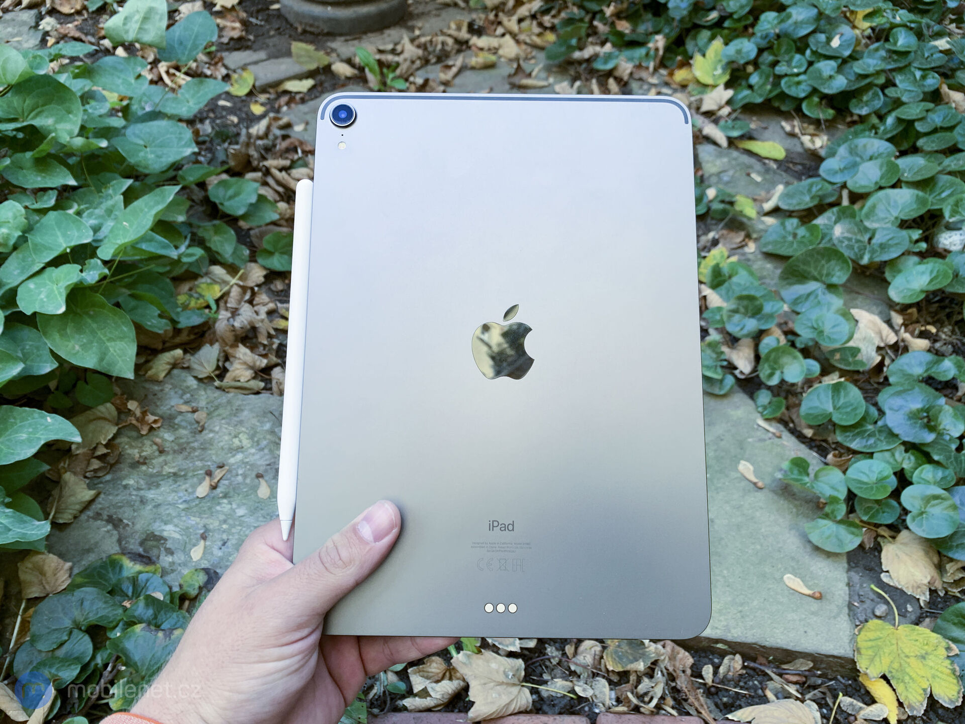 Apple iPad Pro (11\")