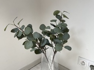 Apple iPad Pro (2021) 11\"