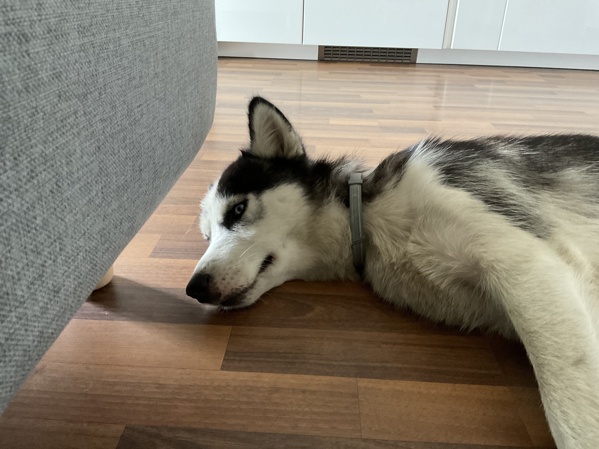 Apple iPad Pro (2021) 11\"