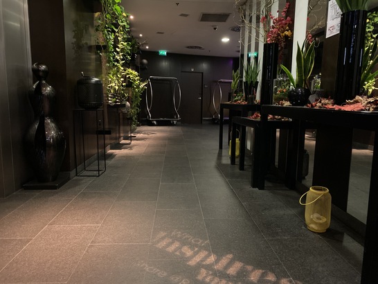 Apple iPhone 11 Pro Max