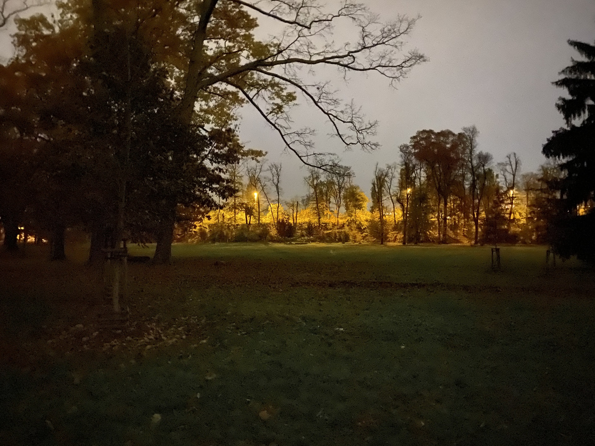 Apple iPhone 11 Pro Max