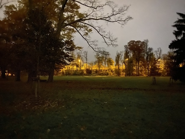 Apple iPhone 11 Pro Max