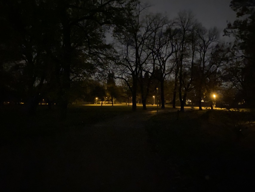 Apple iPhone 11 Pro Max