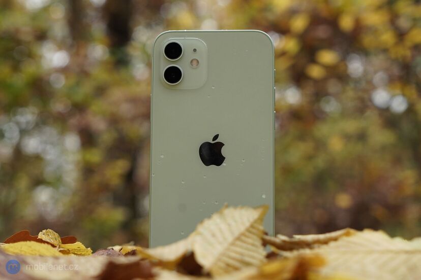 Apple iPhone 12