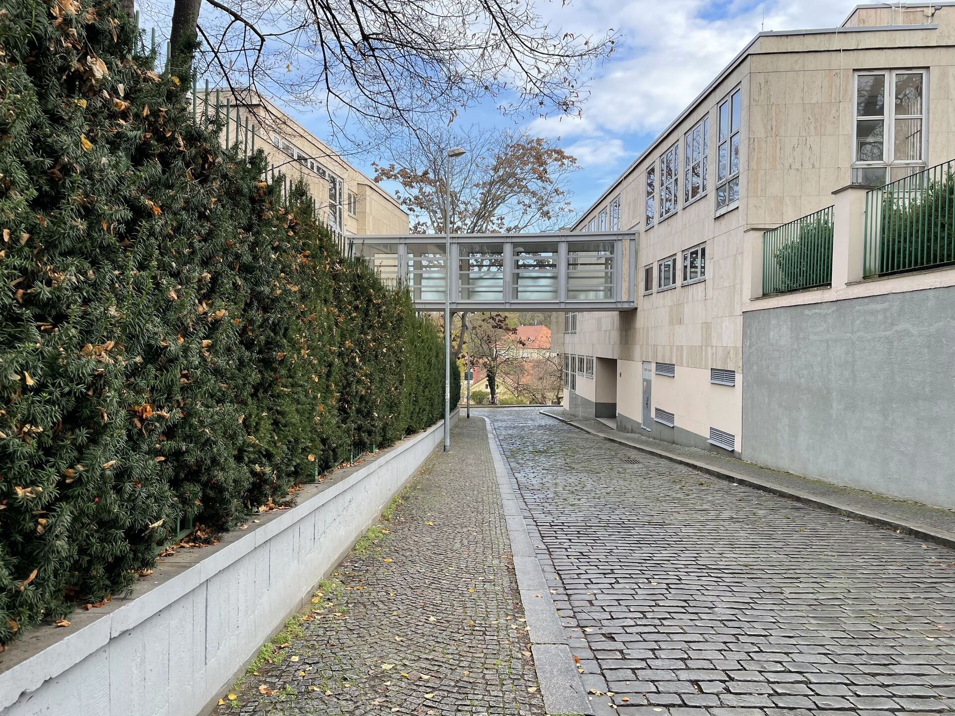 Apple iPhone 12 mini