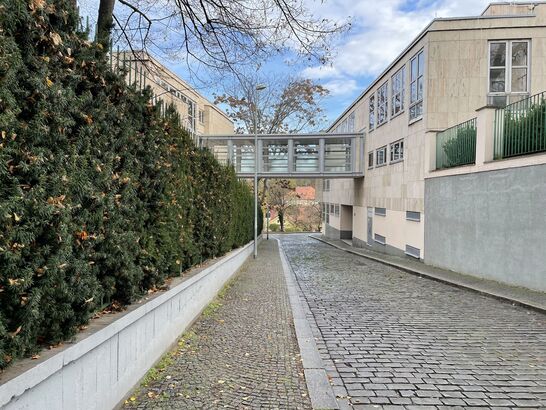 Apple iPhone 12 mini