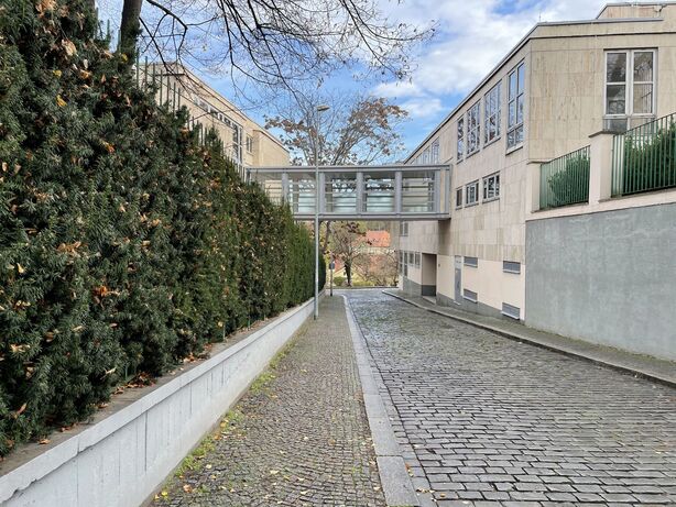 Apple iPhone 12 mini