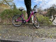 Apple iPhone 12 mini