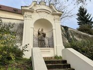 Apple iPhone 12 mini