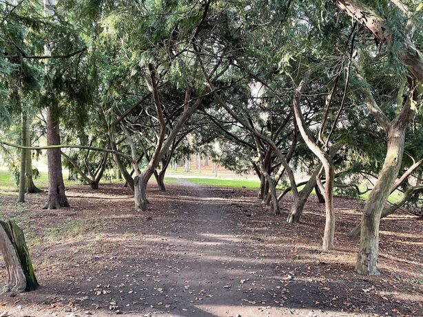 Apple iPhone 12 mini