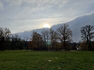 Apple iPhone 12 mini