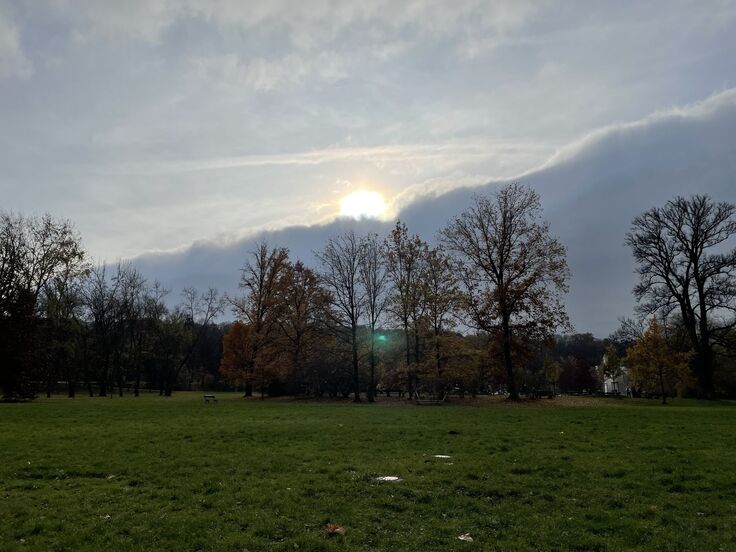 Apple iPhone 12 mini