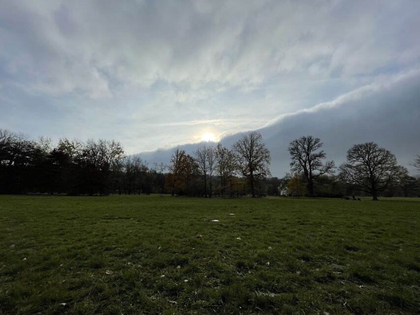 Apple iPhone 12 mini