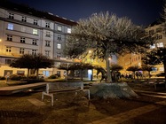 Apple iPhone 12 mini