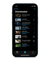 Apple iPhone 12 Pro Max