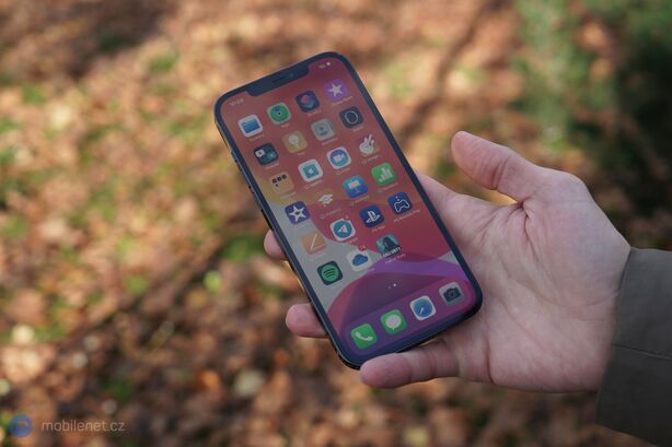 Apple iPhone 12 Pro Max