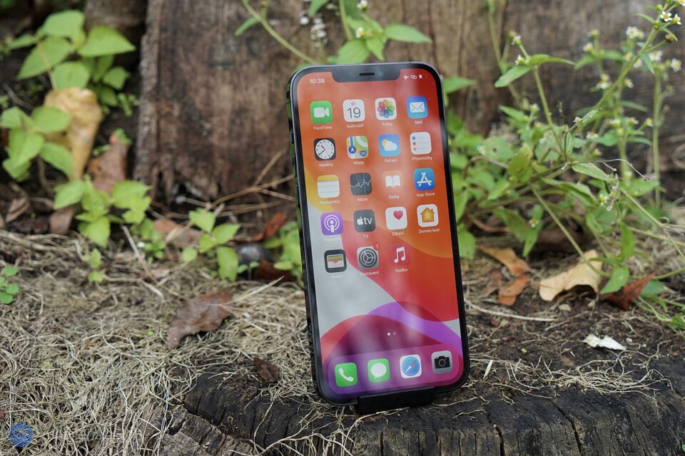 Apple iPhone 12 Pro Max