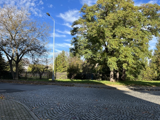 Apple iPhone 13 mini