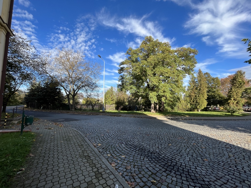 Apple iPhone 13 mini