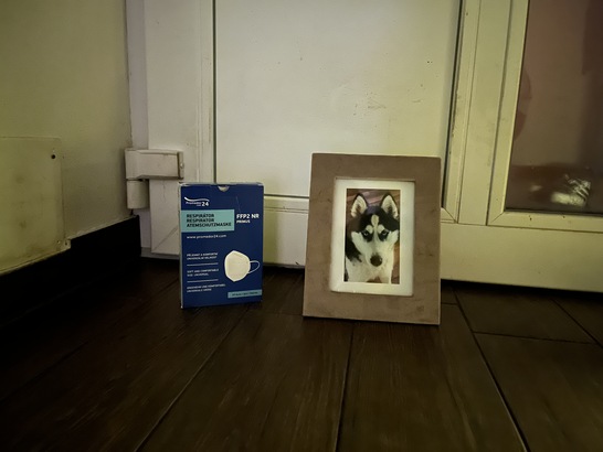 Apple iPhone 13 mini