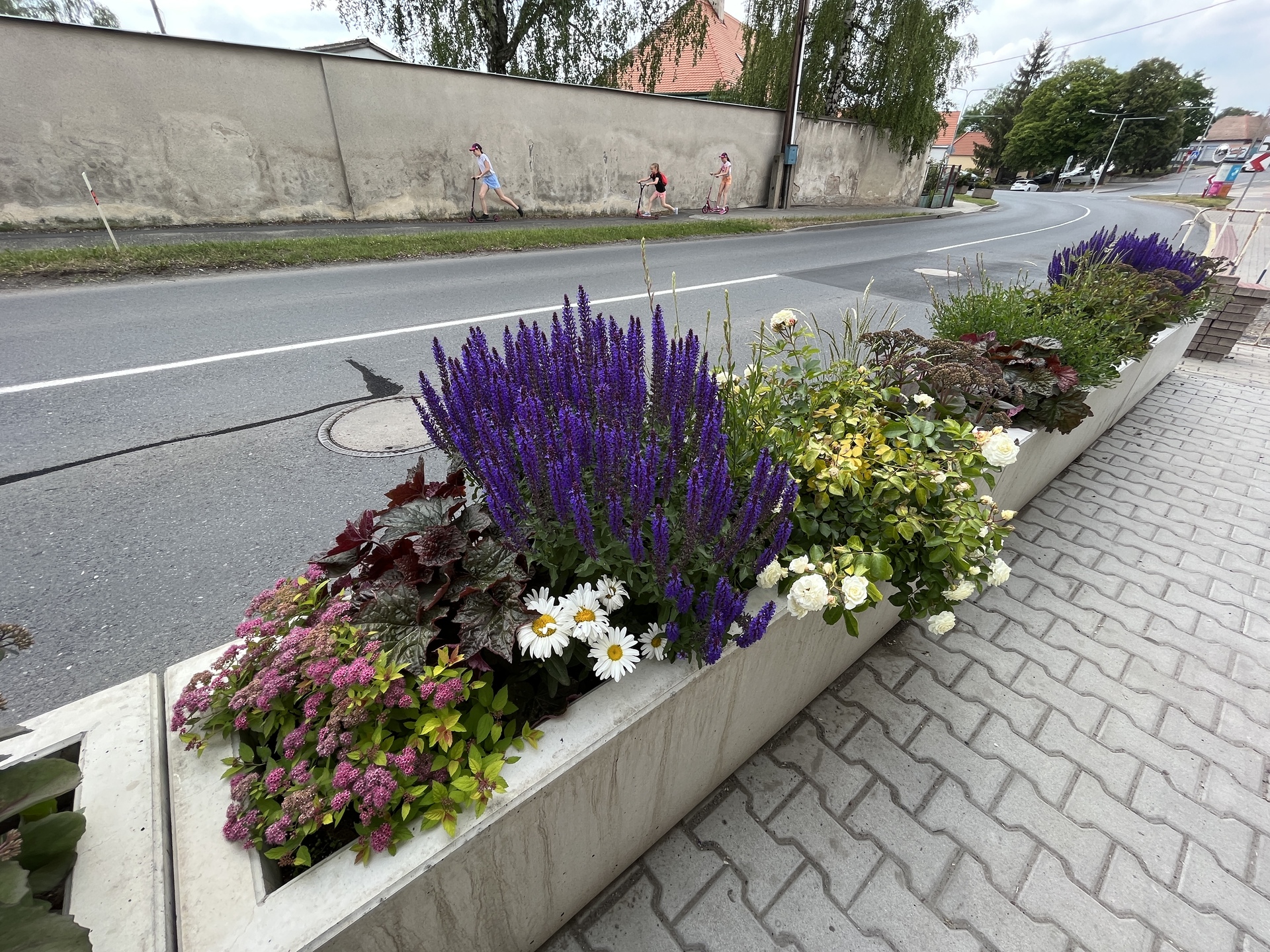 Apple iPhone 13 mini