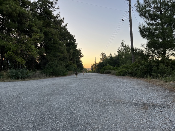 Apple iPhone 13 mini