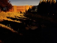 Apple iPhone 13 mini