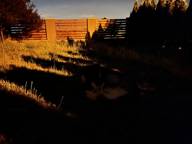 Apple iPhone 13 mini