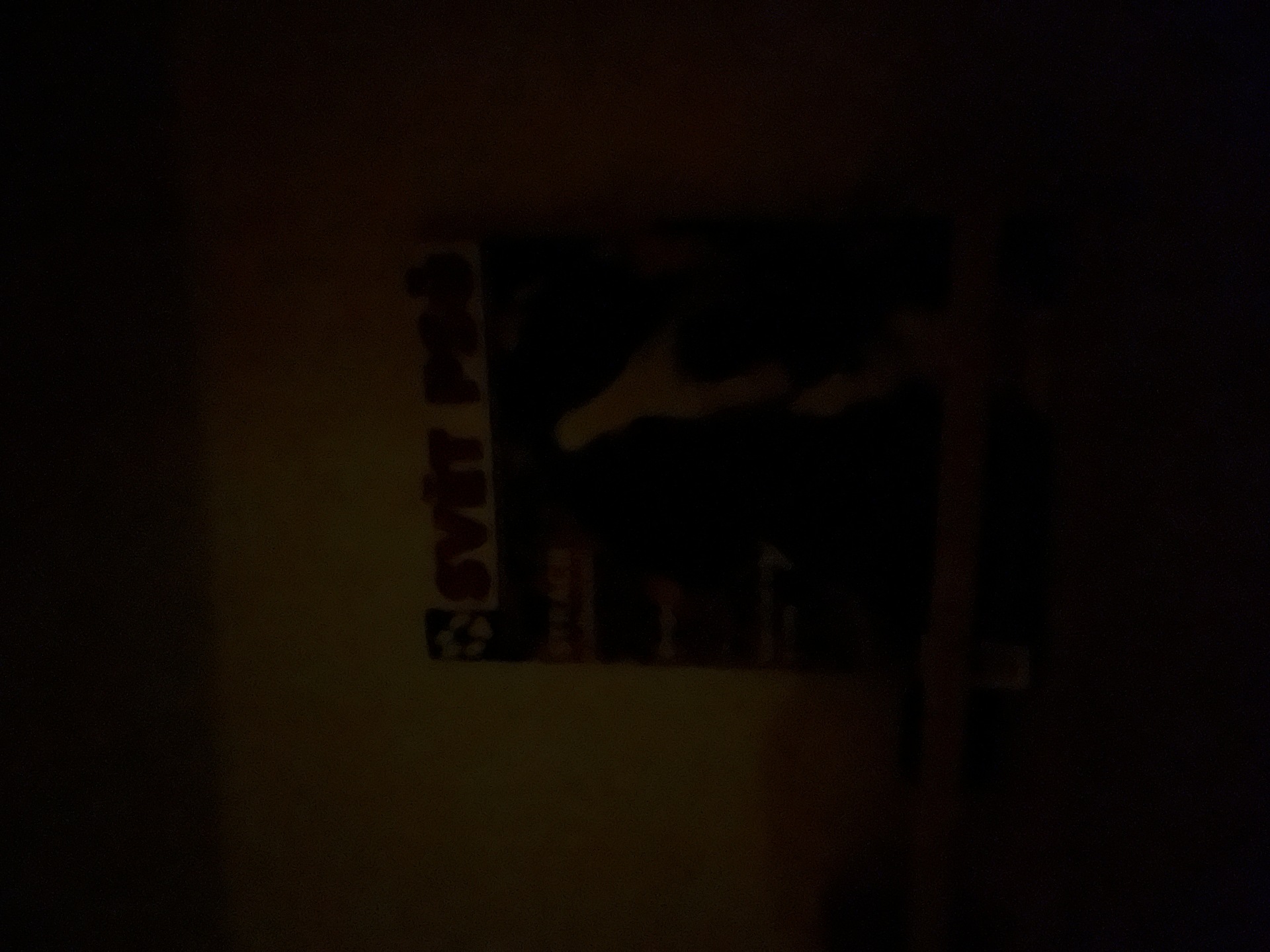 Apple iPhone 13 mini