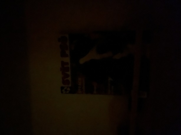 Apple iPhone 13 mini