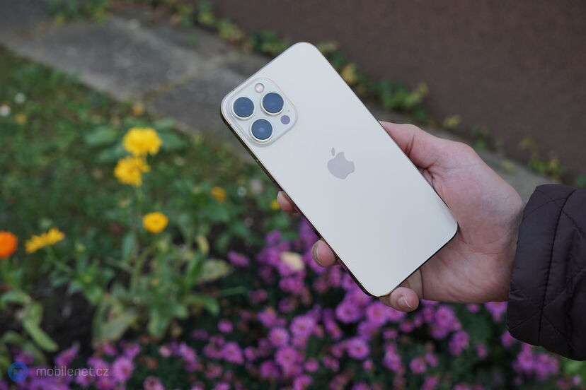 Apple iPhone 13 Pro Max