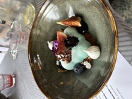 Apple iPhone 14 Plus