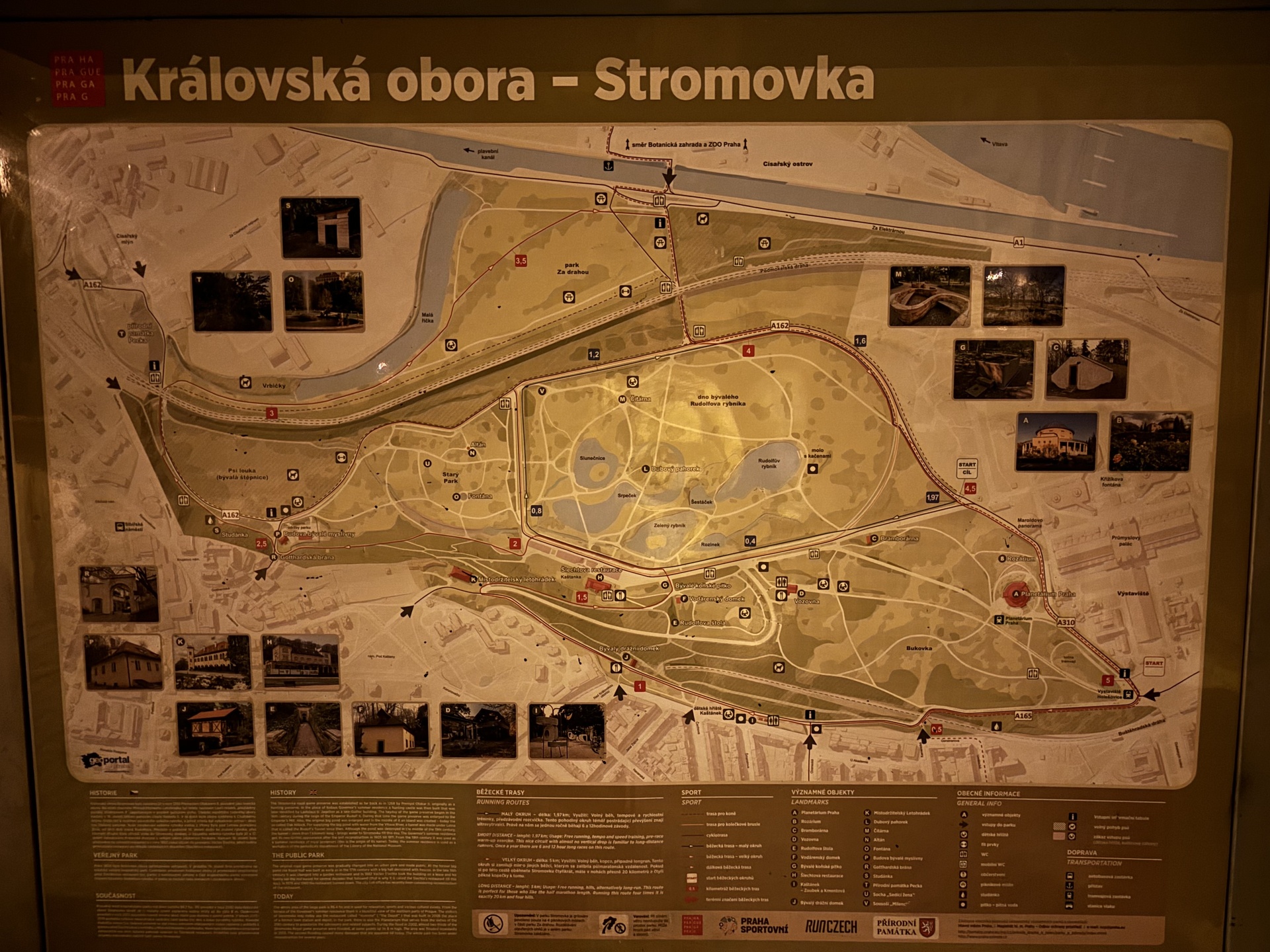 Apple iPhone 15 Plus